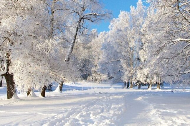 Yollar buz bağlayacaq – XƏBƏRDARLIQ