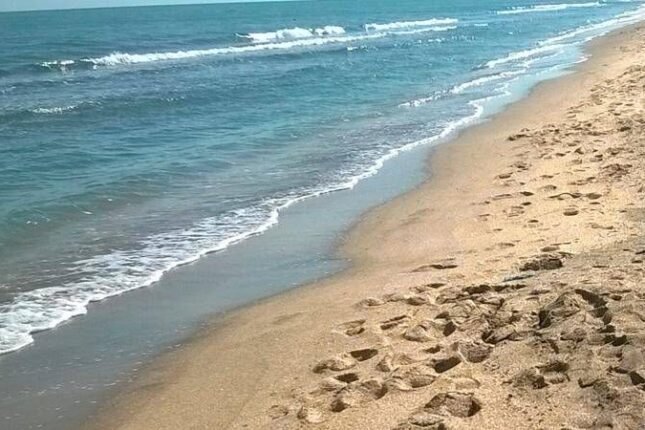 Bakıdan bu rayona gəmi ilə gedə biləcəyik – VİDEO