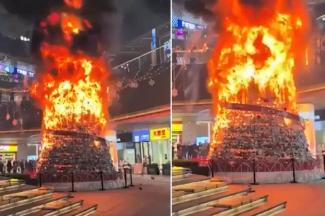 “Müsəlmanlar yolkaya od vurdular” — Gerçək ortaya çıxdı – VİDEO