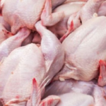 satisdaki-kend-toyuqlarinin-ekseriyyeti-saxtadir-8211-ekspert