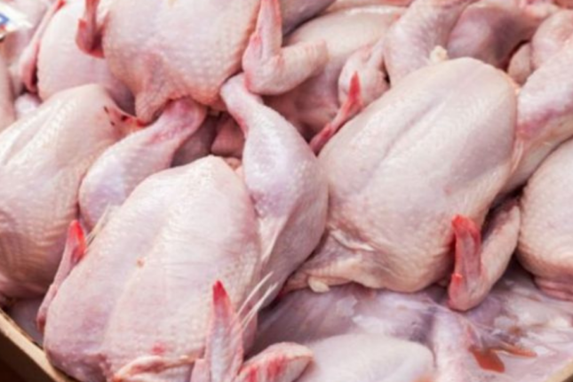 Satışdakı kənd toyuqlarının əksəriyyəti saxtadır – Ekspert