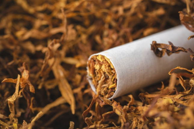 Təbii tütün zərərlidirmi? – ARAŞDIRMA Təbii tütün zərərlidirmi? – ARAŞDIRMA