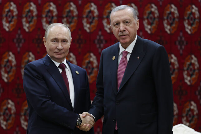 Ərdoğan Putinlə görüşdü