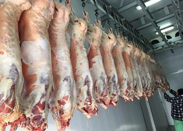 Bakıda satılan “monqol quzuları” təhlükəsizdir? – AÇIQLAMA