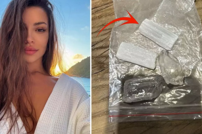 Axtarış zamanı məşhurların evindən görün nələr çıxdı – FOTO