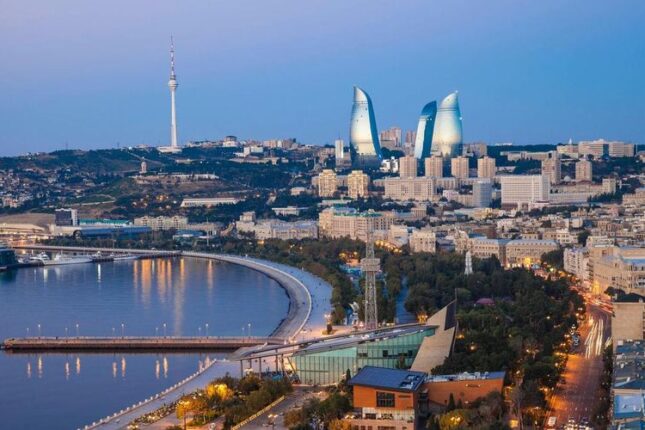 Eyyubovlardan sonra növbə onlarındır