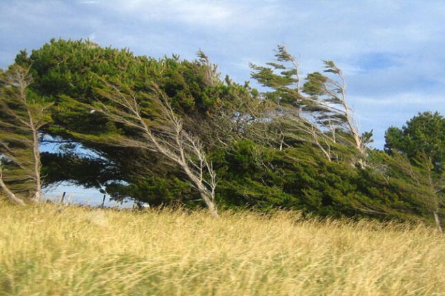 Küləkli hava ilə bağlı sarı və narıncı xəbərdarlıq edildi