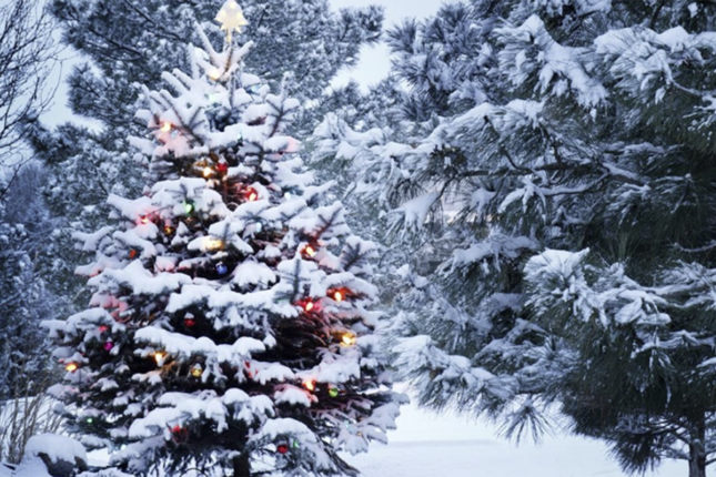İlin son günü hava necə olacaq?