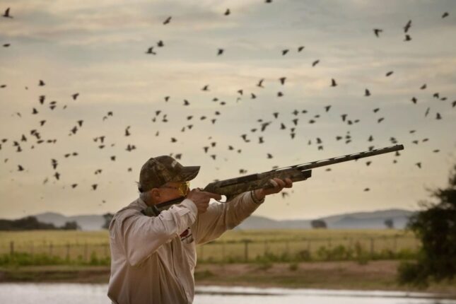 Azərbaycanda ov mövsümü açılır