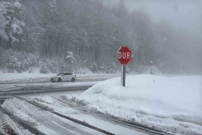 Türkiyədə 28 vilayət üçün qar uçqunu xəbərdarlığı edildi