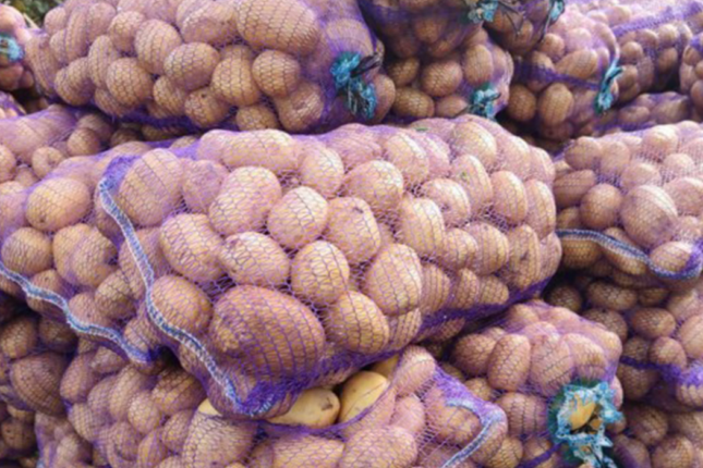 Heyvanlara verilən kartof insanlara satılır — Alarkən bunlara DİQQƏT edin