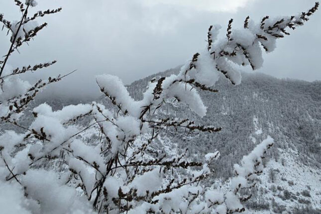 Kəskin hava şəraiti ilə bağlı əhaliyə daha bir – Çağırış