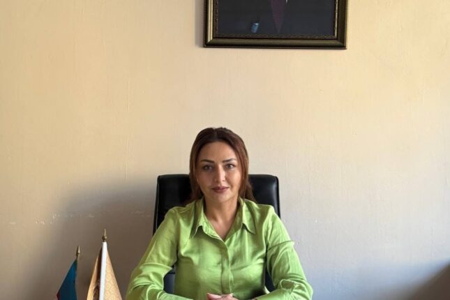 Bilikdən Dəyərə: Elm və təhsil kontekstində insan kapitalı