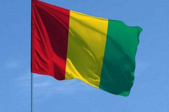 Qvineyada hökumət istefaya göndərildi