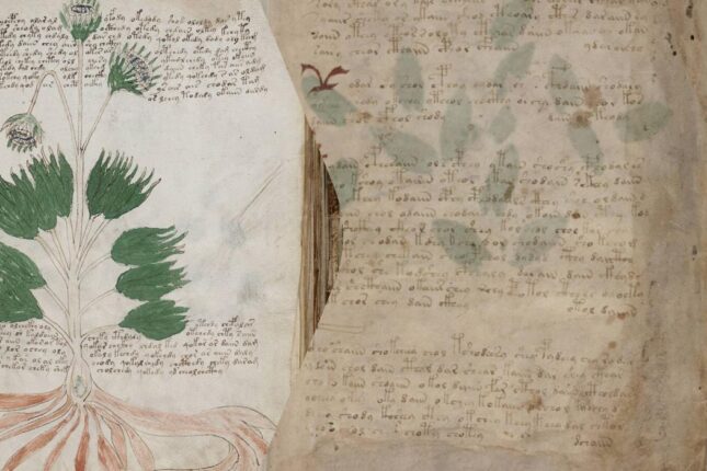 Dünyanın 500 yaşı olan ən sirli mətni: Voyniç əlyazması nə gizlədir? Dünyanın 500 yaşı olan ən sirli mətni: Voyniç əlyazması nə gizlədir?