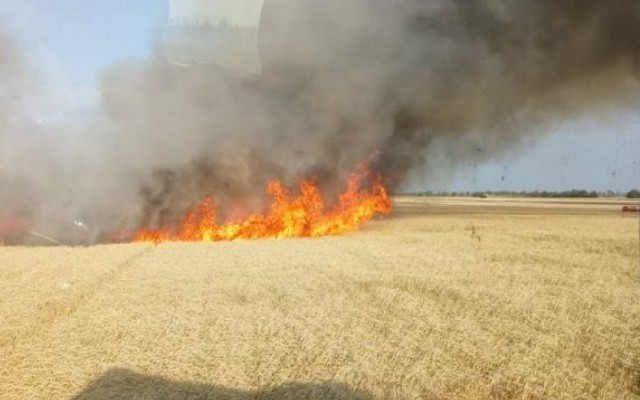 Prezident əkin yerinin yandırılması ilə bağlı yeni cərimələri təsdiqləyib
