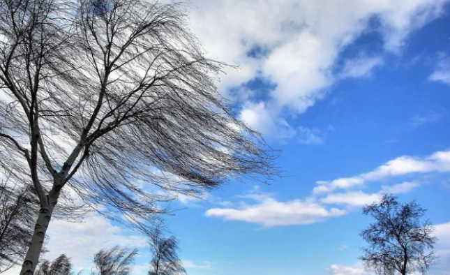 Sabah güclü külək əsəcək – XƏBƏRDARLIQ