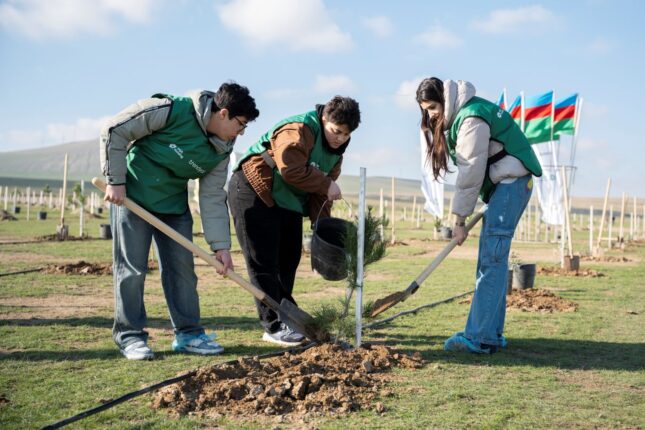 Trendyol və PAŞA “Holding”in təşəbbüsü ilə  12 mindən çox ağac əkilib