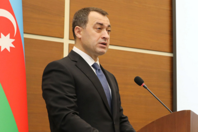 Nizami rayonunda “ağac soyqırımı” — Kim məsuliyyət daşıyır? (VİDEO)