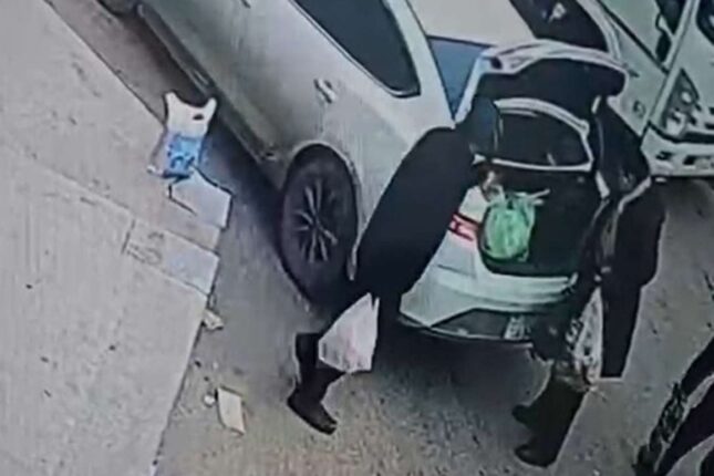 Marketdə “kömək etdiyi” qadının pul kisəsini belə oğurladı – VİDEO Marketdə “kömək etdiyi” qadının pul kisəsini belə oğurladı – VİDEO