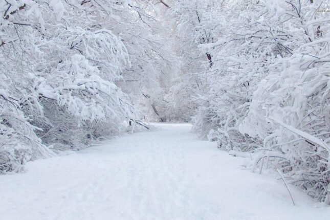 Bu rayonda qarın hündürlüyü 41 sm-ə çatıb – FAKTİKİ HAVA