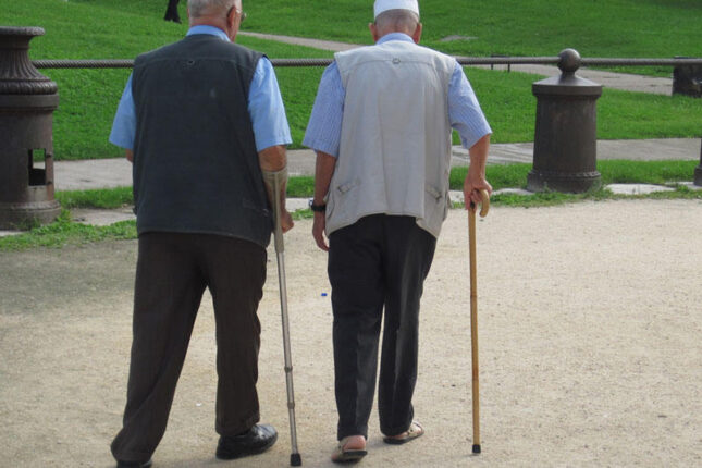 100 yaşına kimlər daha tez çatır: ət yeyənlər, yoxsa vegeterianlar?