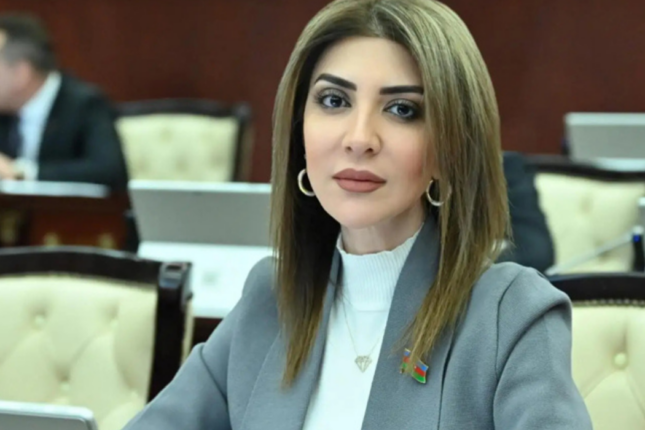 Günay Ağamalının bağçası bağlandı