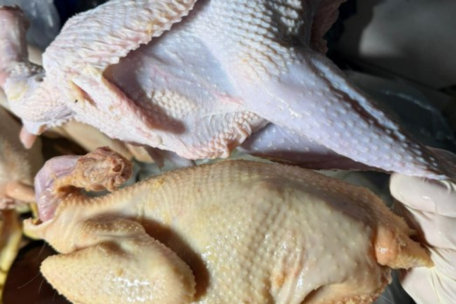 “Kənd toyuğu” adı ilə rəngləmiş toyuq satılırmış