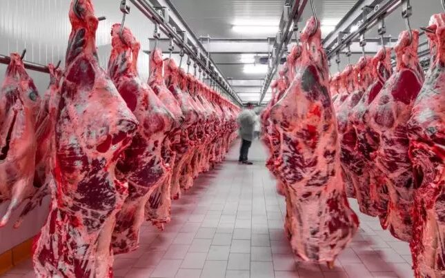 Azərbaycanda bu ölkələrdən gətirilən ətlər satılır (SİYAHI)