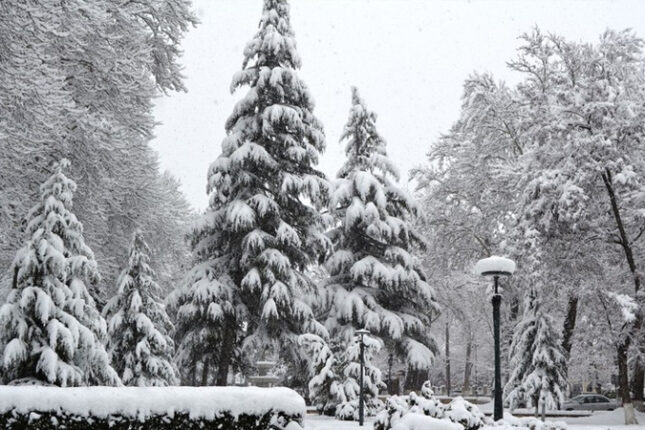 Bu rayonlara qar yağır – FAKTİKİ HAVA