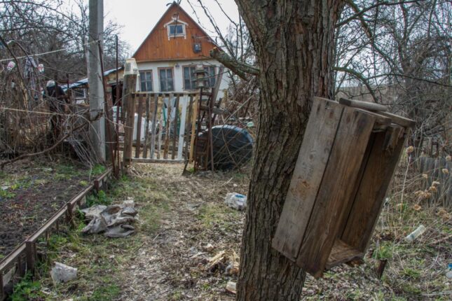 Rusiyada kəndlər kütləvi şəkildə yox olur Rusiyada kəndlər kütləvi şəkildə yox olur