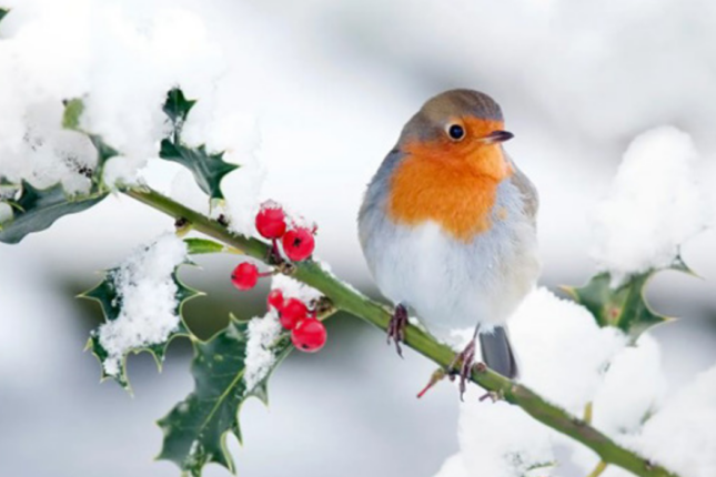 Faktiki hava AÇIQLANDI Faktiki hava AÇIQLANDI