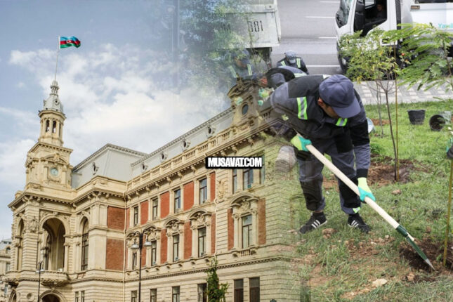 Bakının yaşıllaşdırılmasında ŞOK gizlinlər – Burada hər şeyi ağacların kölgəsi örtür, yoxsa…