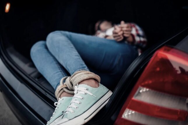 Qız qaçırmaya görə 32 şəxs barədə məsuliyyət tədbirləri görüldü