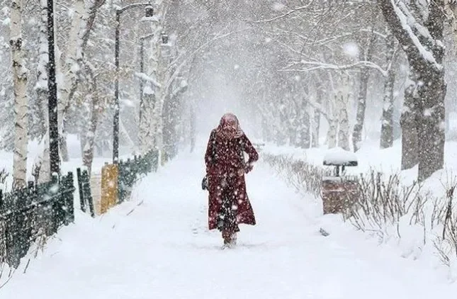 Sulu qar, qar yağır – FAKTİKİ HAVA