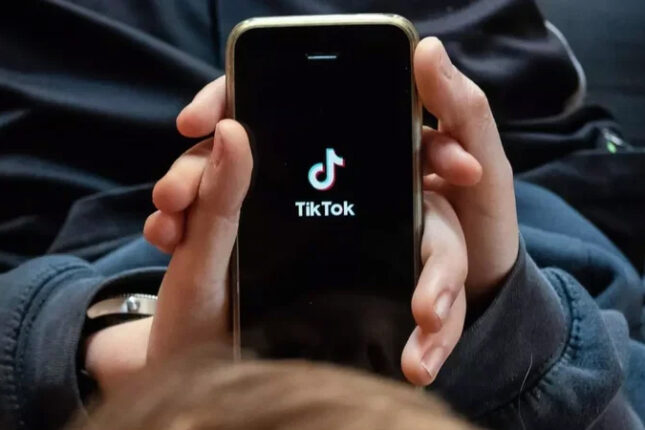 “TikTok”da deputatları və icra başçılarını söyən şəxs həbs olundu