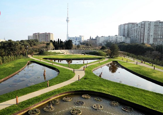 “Mərkəzi Nəbatat və Dendrologiya Bağı” MMC yaradılır