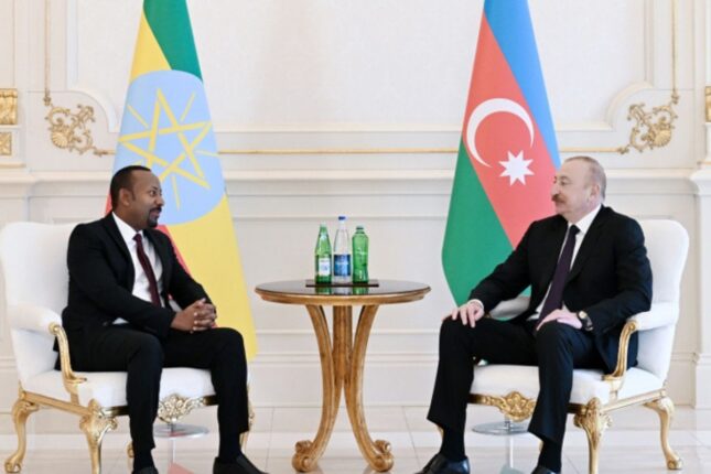 Azərbaycanla Efiopiya arasında bir sıra sənədlər imzalandı -FOTOLAR