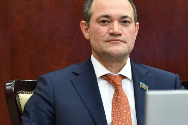 Milli Məclisdə işsizlik müzakirə edildi — Gənclər bu səbəbdən işsizdir (VİDEO)