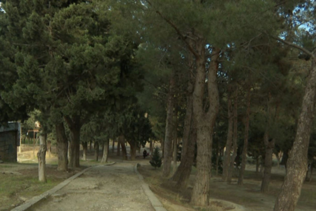 Məşhur “Pitomnik bağı” ləğv edilir? – Rəsmi açıqlama