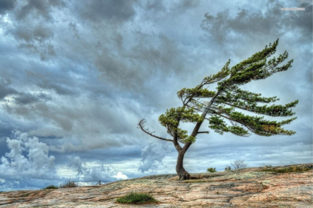 Bəzi yerlərdə külək güclənəcək – XƏBƏRDARLIQ