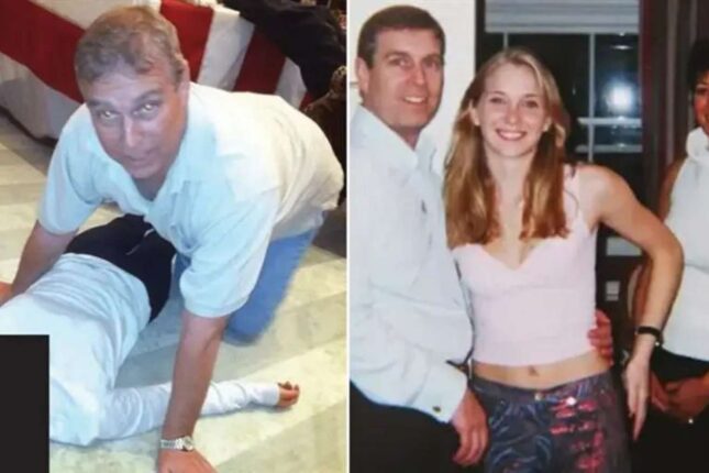 Epşteynin yaxın dostları – Dövlət sirləri sızdıran lord və şahzadə