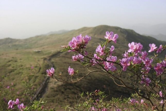 Martda hava necə olacaq?