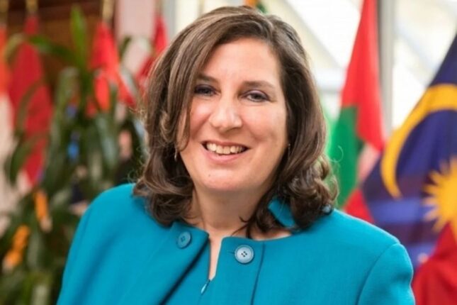 Şafer: “Referendumla İrəvan Qarabağdan rəsmi imtina etdiyini təsdiqləyəcək”