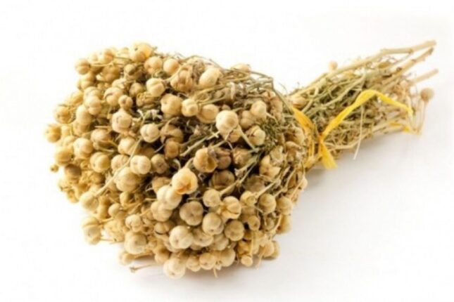 Azərbaycanda üzərlik qadağan edilə bilərmi? — Alim danışdı