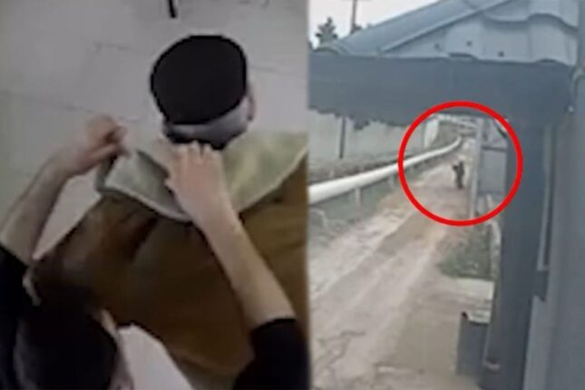 Saçını kəsdirdiyi bərbər başına torba keçirib pulunu taladı – Video