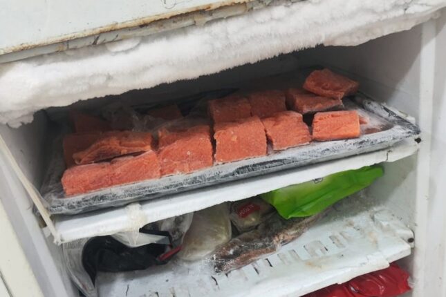 “SushiNano”nun fəaliyyəti dayandırıldı – Nöqsanlar var imiş