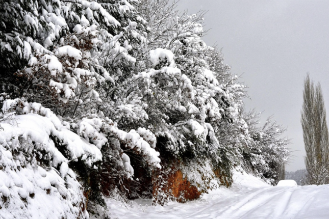 Temperatur 8 dərəcə enəcək, yollar buz bağlayacaq – Xəbərdarlıq