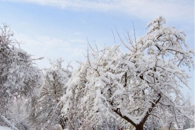 Dağlıq ərazilərə qar yağır – FAKTİKİ HAVA