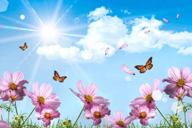 Aprelin ilk gününün HAVASI